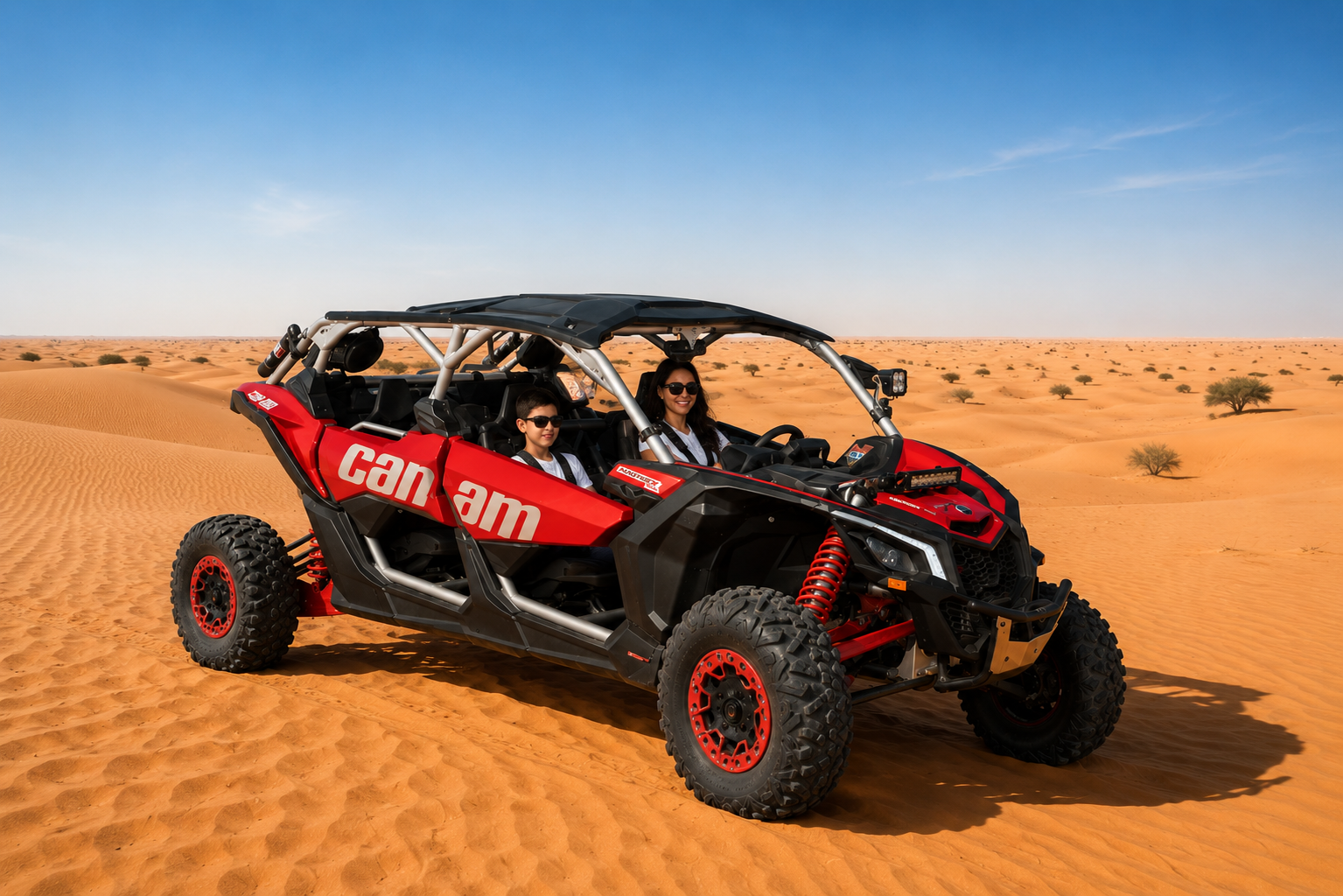 Can-Am 2-Seater Buggy
